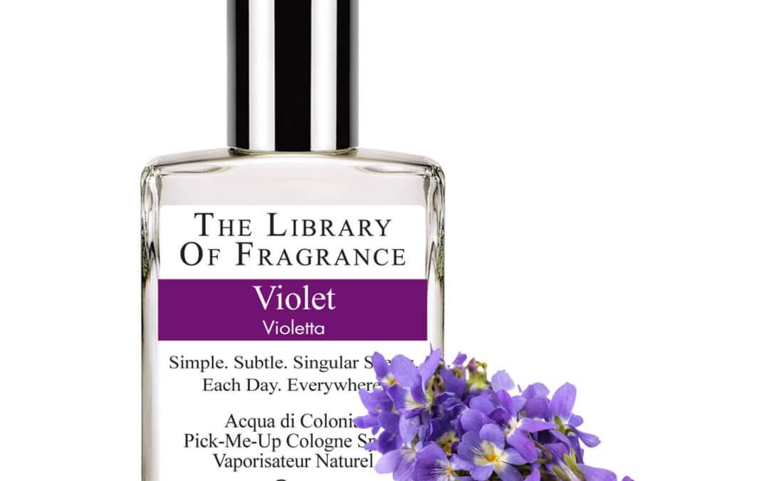 Why is Violet Being Highly Used for Making Perfumes?